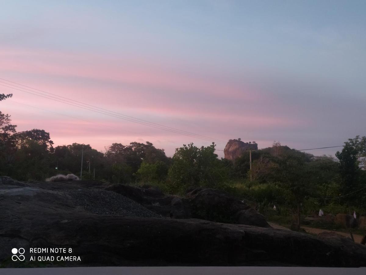 Sigiri Gayani Home Stay Sigiriya Exterior foto